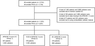 A study of the risk factors for phlebitis in patients stratified using the acute physiology and chronic health evaluation II score and admitted to the intensive care unit: A post hoc analysis of the AMOR-VENUS study